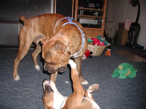 Playin