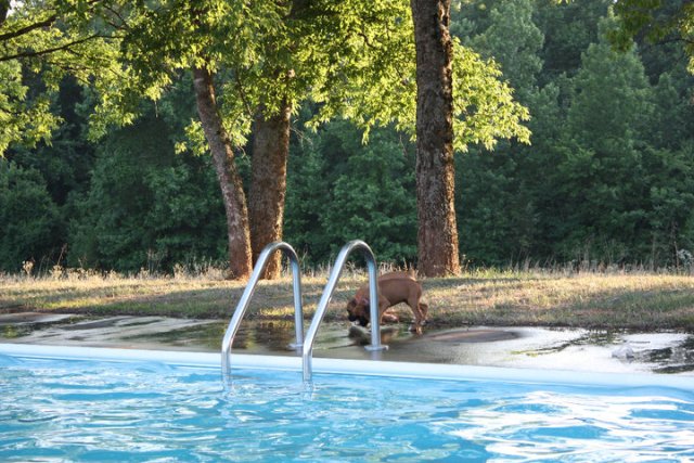 Playing by the Pool