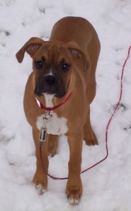Playing in snow