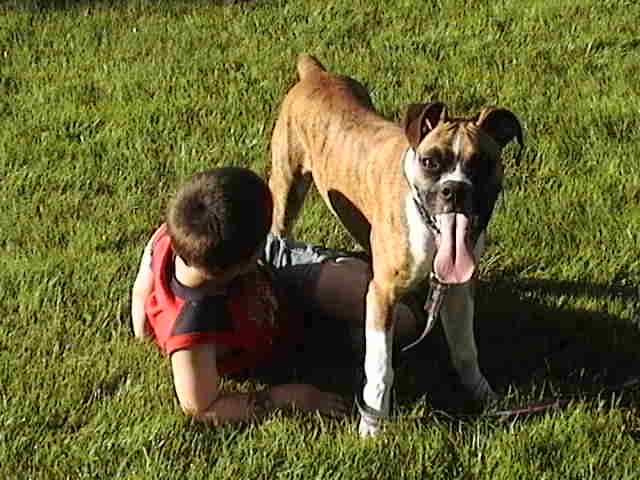 playing in the backyard