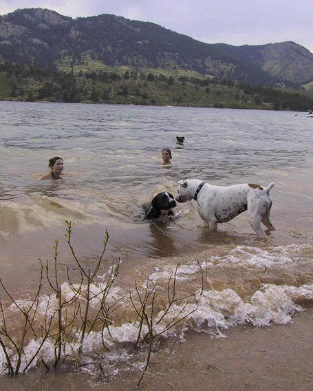 Playing in the Lake