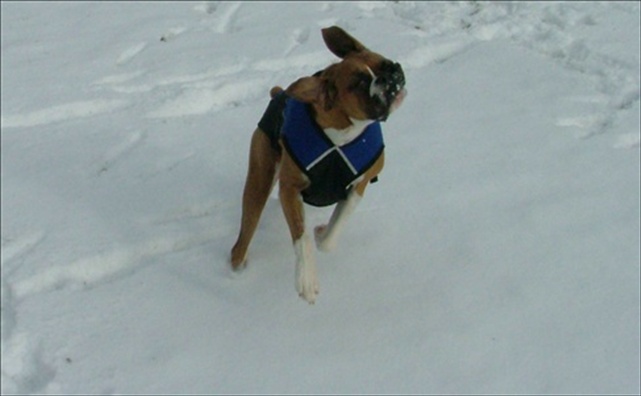 Playing in the snow!