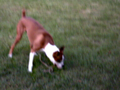 Playing keep away