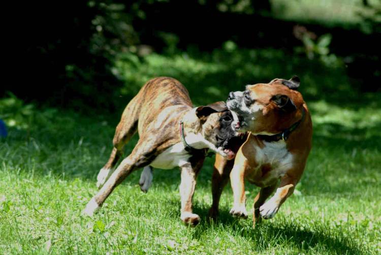 Playing Tag