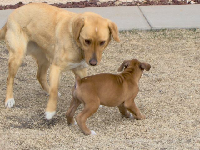 Playing Together