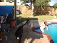 playing w/ friends poolside
