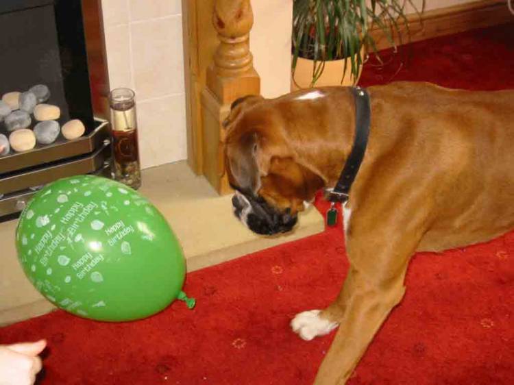 playing with a balloon