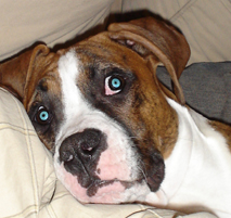 playing with adobe photo shop