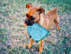 Playing with her bucket