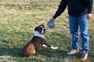 Playing with my dad....