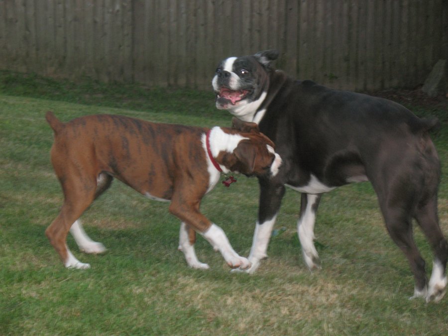 playing with my Sis