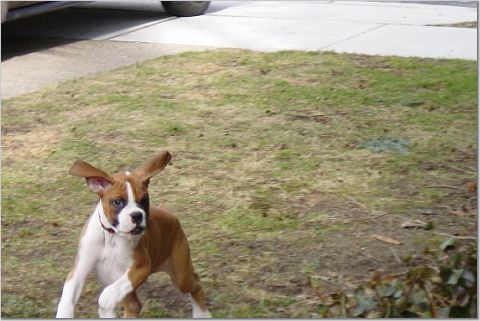 playing!