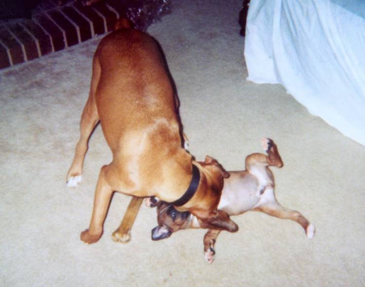 playing