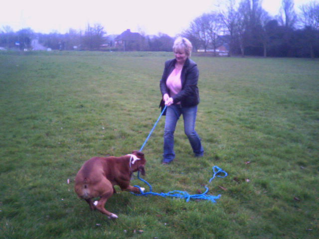 playing