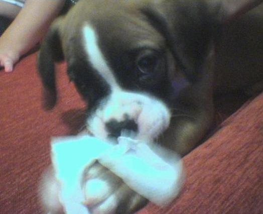 playing