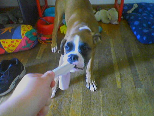 playing
