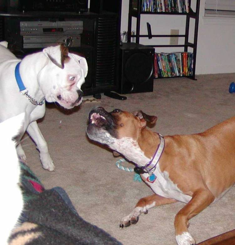Playing