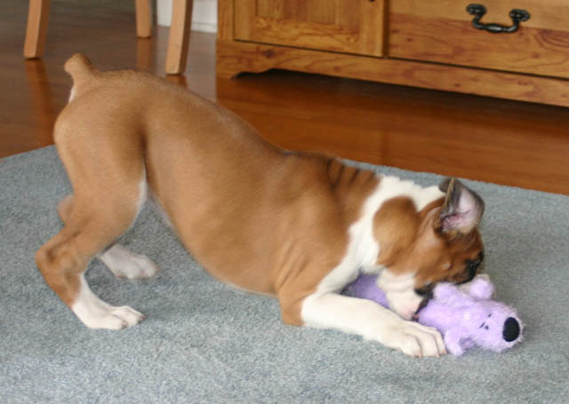 playing