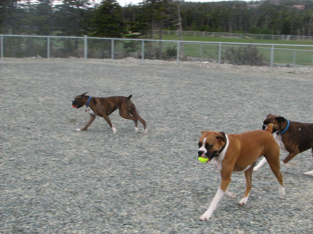playing...