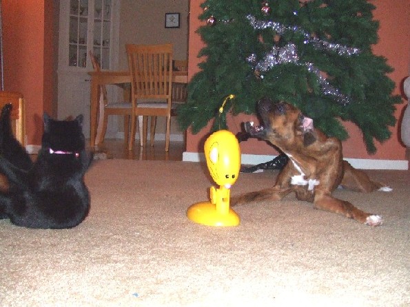 Playing