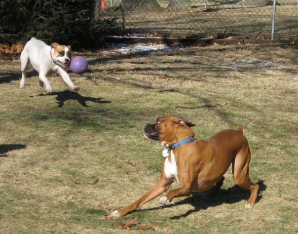Playing