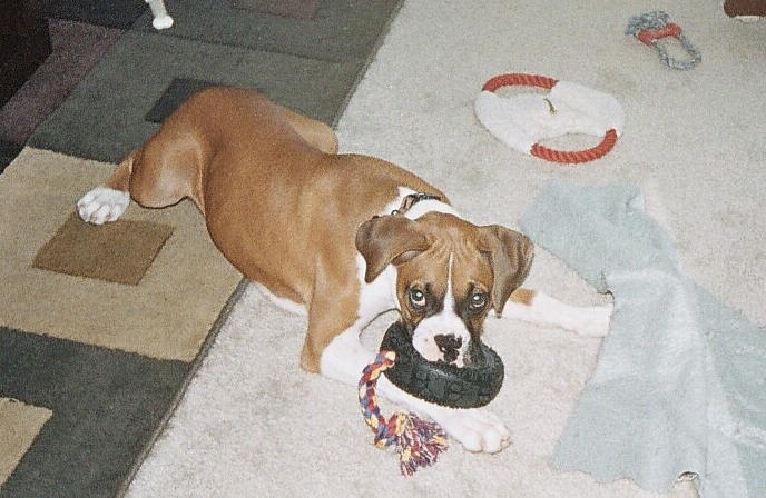 Playing