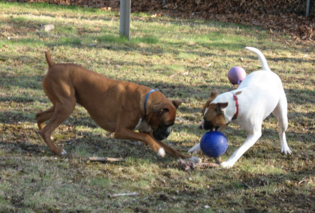 Playing