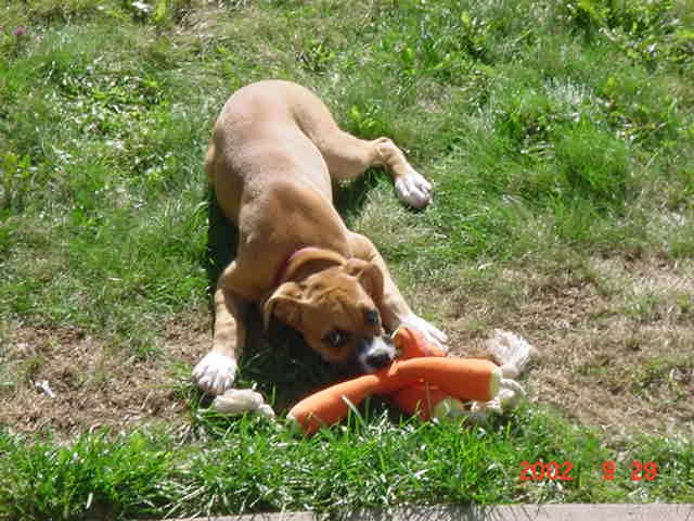 Playing