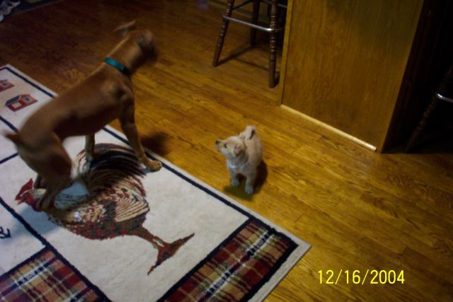 playing3