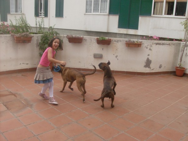 Playing_time_2