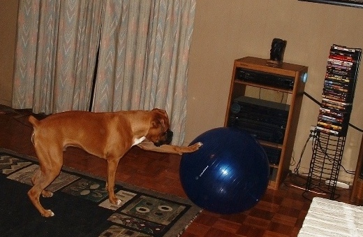 PLAYINGBALL