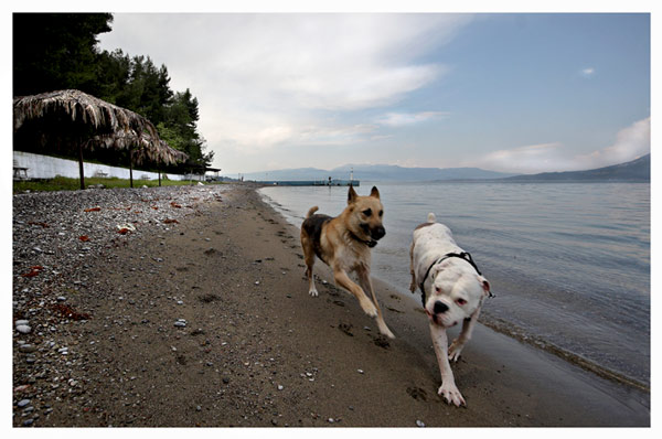 playmates