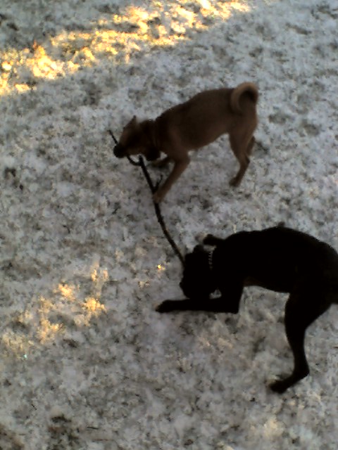 playmates1