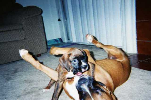 Playtime!!