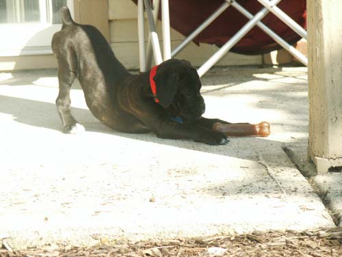 Playtime!