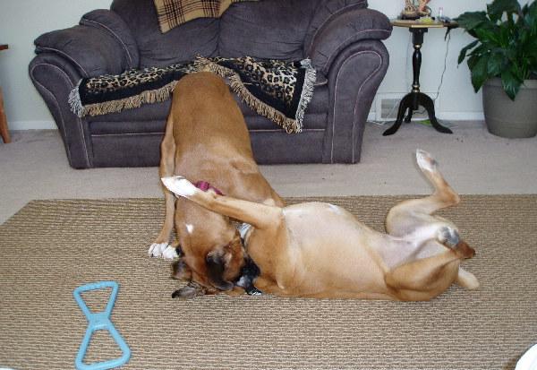 Playtime
