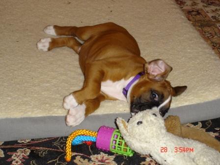 Playtime