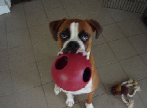Playtime
