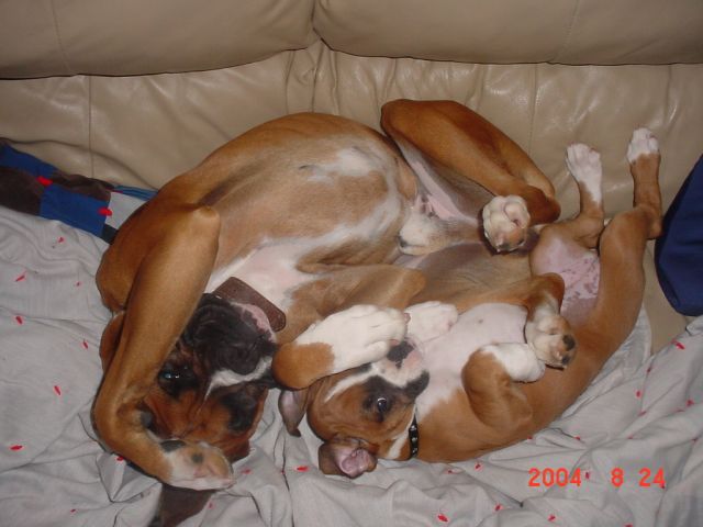 playtime