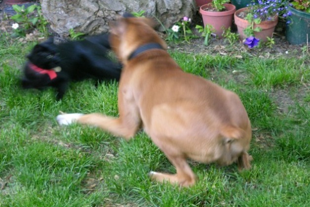 Playtime!