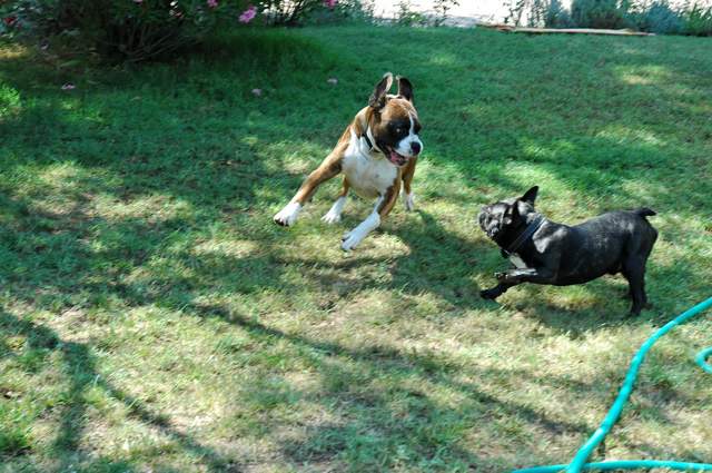 Playtime!