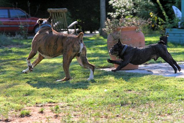 Playtime