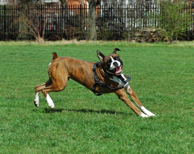 Playtime