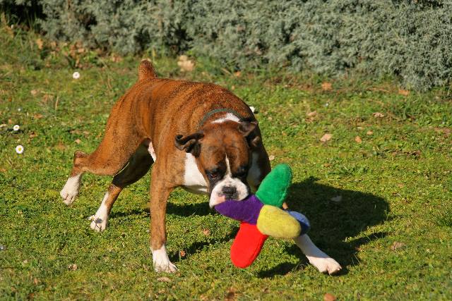 Playtime