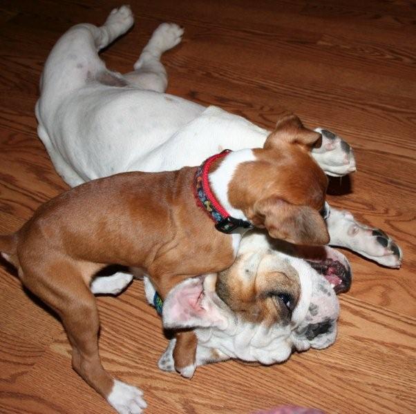 Playtime