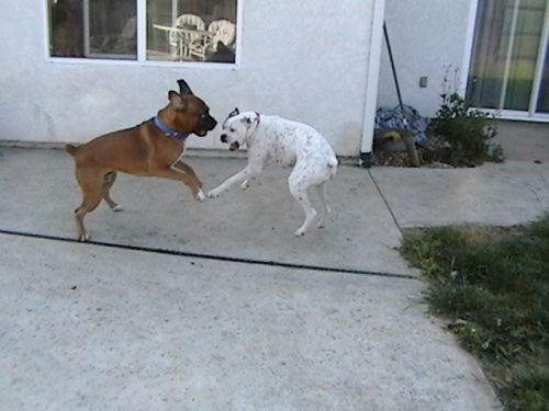 Playtime!