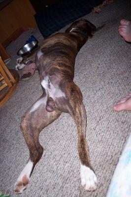 Please don't disturb me, i'm too comfortable!