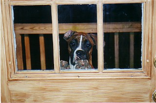 Please, let me in.