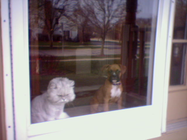 Please let us go and play outside :-)