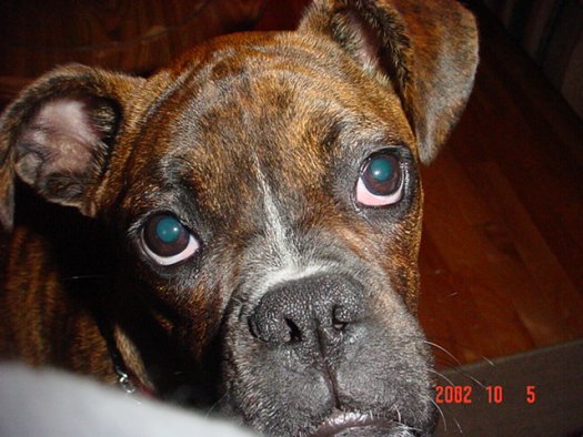 Please Love Me